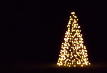 Christmas Tree, Christmas lights, worship, celebration, Christmas lights in the background, evening