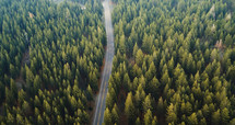 aerial view over a road through a forest 