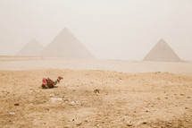 pyramids in Giza, Egypt 