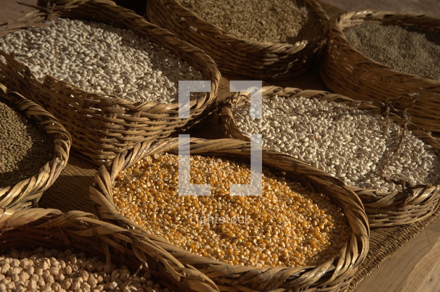 grains in baskets in biblical times 
