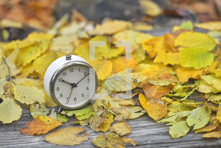 alarm clock on fall leaves 