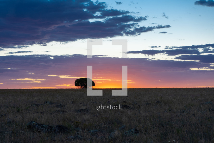 Orange sunrise glow beyond a lone tree on a prairie