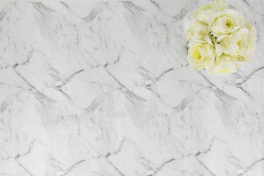 white roses on Carrara marble 