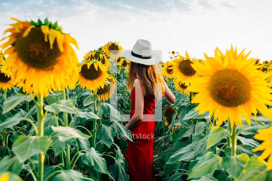 woman in a red dress in a field of sunflowers 