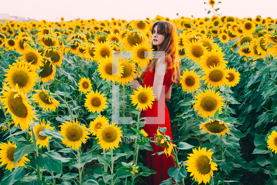 woman with red dress backwards in road with sunflowers