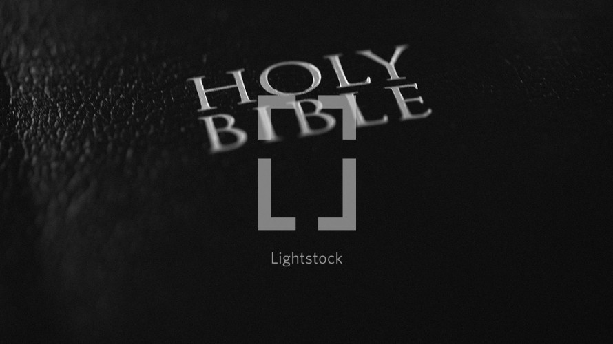 Holy Bible cover