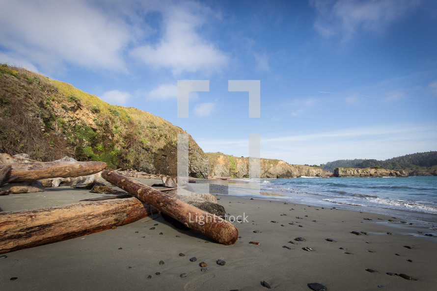 driftwood and rocks in the sand on a beach