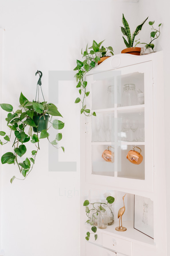 house plants and corner cabinet 