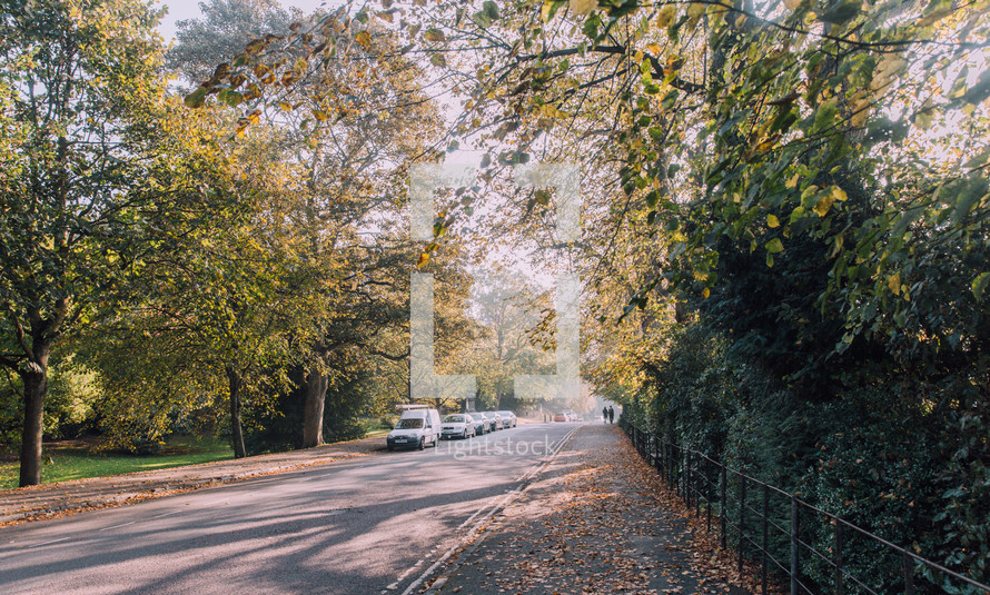 neighborhood street in autumn 
