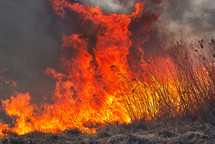 flames burning in a field 
