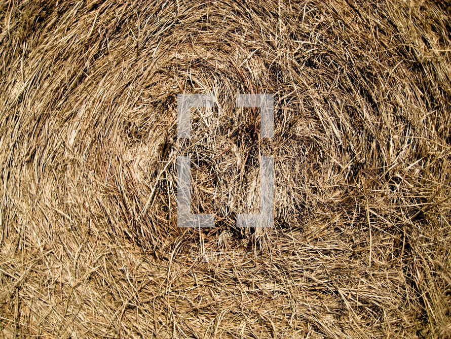 A closeup of a bale of hay