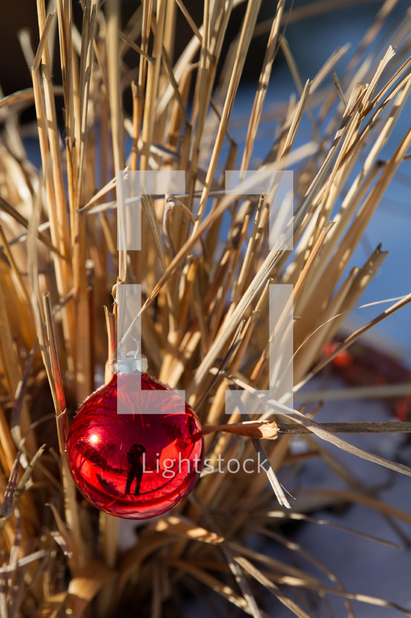 red Christmas ornament on dry grasses outdoors 