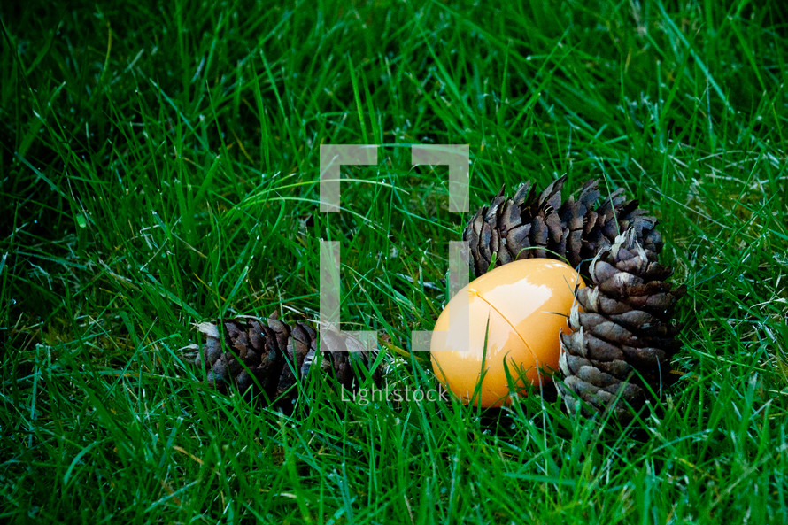 yellow plastic Easter egg lying next to pine cones in the grass