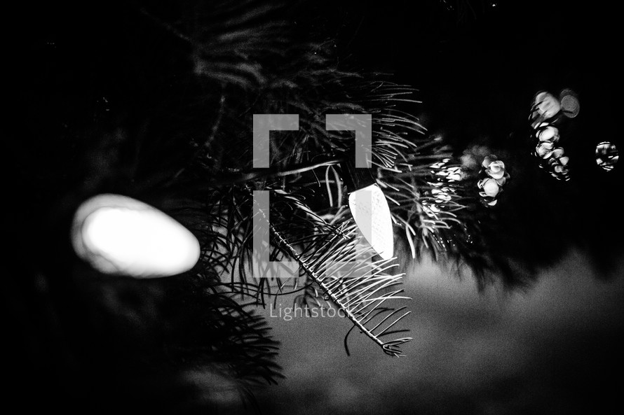 close-up of Christmas lights on a Christmas tree