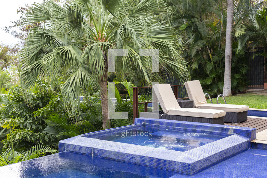 palm tree by a resort pool 