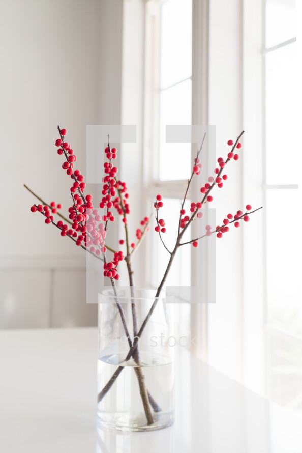 red berries on a twig in a window sill 