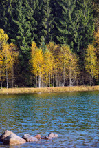 Autumn lake shore 