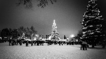 crowded gathered in a snow covered park for a tree lighting 