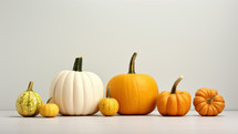 Happy Thanksgiving with pumpkins and squashes.