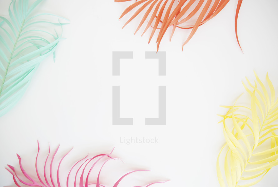 colorful feathers on white background 