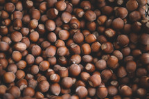 Background Of Collection Hazelnuts, Collection Of Hazelnuts