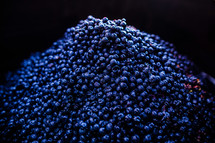 pile of blueberries 