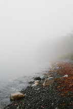 fog over a lake shore 