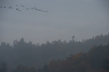 Canada Geese in V formation over mountains at sunset