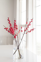 red berries on a twig in a window sill 