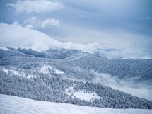 clouds over winter mountain forest 