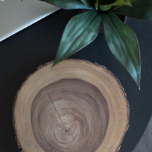 wood, tree rings, leaves, desk, house plant, laptop, desk 