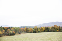 open field lined by fall trees 