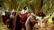 Jesus Comes to Jerusalem as King