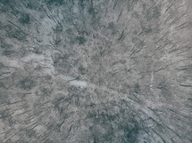 aerial view over a winter forest covered in snow 