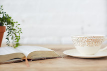 house plant, open Bible, and teacup on a saucer 