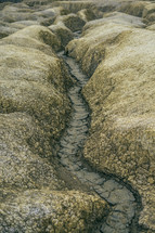 dry river bed 