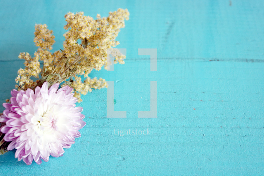 pink and yellow flowers on blue wood background 