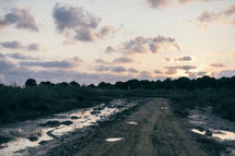 puddles on a dirt road 