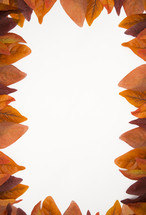 orange fall leaves border 