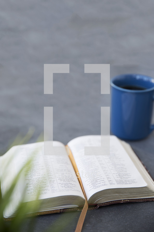 an open Bible and coffee mug on a table 