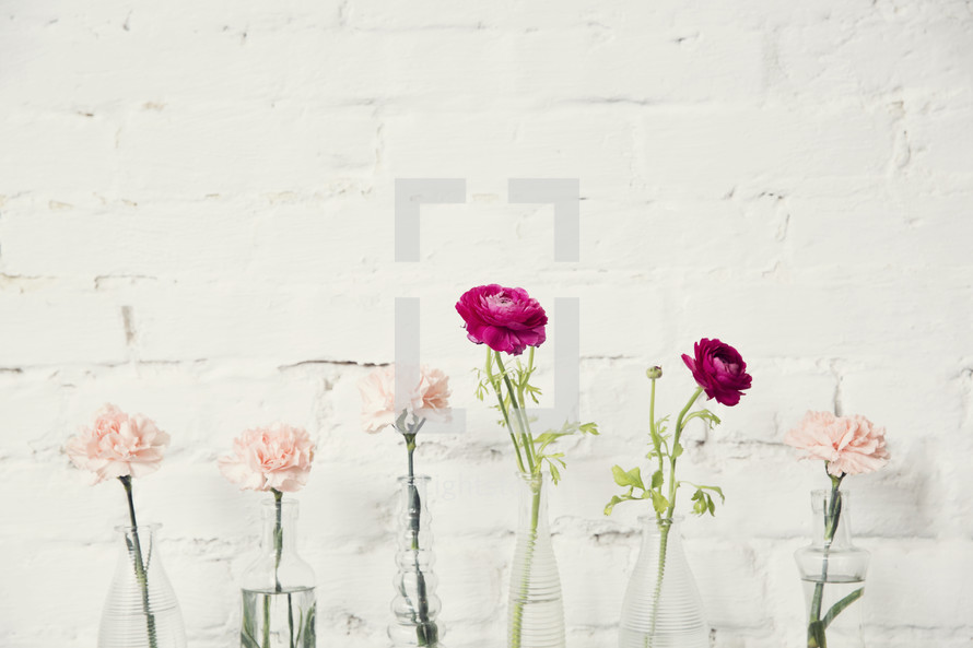 row of flowers in vases 