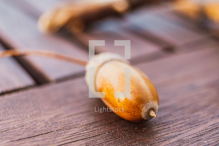 acorn on a deck 