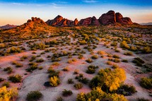 desert landscape 