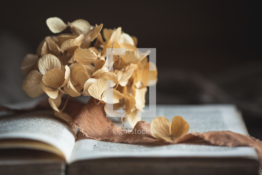 Tan flowers and the Bible with strip of fabric