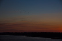 birds in flight at sunset over the ocean 