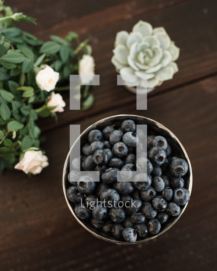 bowl of blueberries, roses, succulent plant