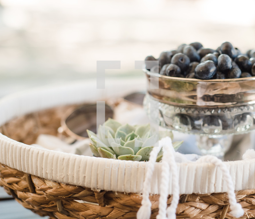 blueberries, basket, succulent plant, blanket, decor, spring, relaxation, eclectic, table decor, spring, relaxation, eclectic, table 