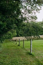 country scene with fence line 