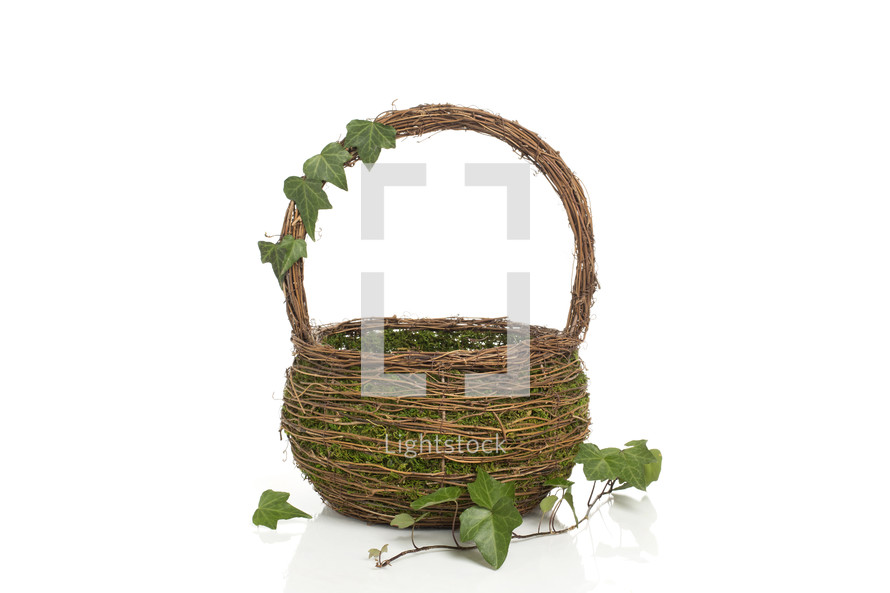 moss in a basket 