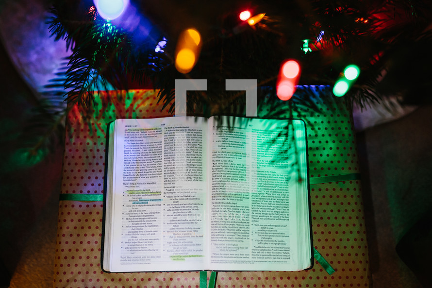 Bible under a Christmas tree 